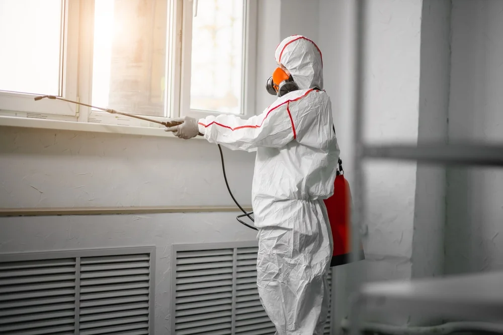 Professional mold remediation services in Franklin, IN